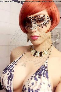Foto selfie mistress trans Padrona Senorita Trans Lleida 0034666276745