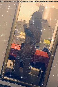 Foto selfie escort Loredana Enna 3511343814