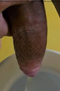 Foto selfie hot trans escort Michelle Dara Padova 3801079313