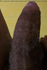 Foto selfie hot trans escort Michelle Dara Padova 3801079313