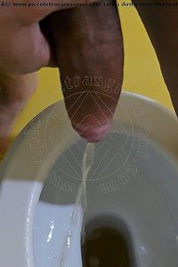 Foto selfie hot trans escort Michelle Dara Padova 3801079313