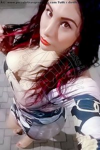 Foto selfie trans escort Paola Fox Iglesias 3347656397
