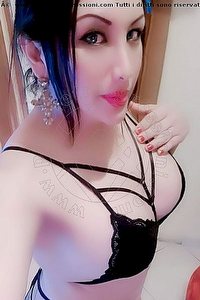 Foto selfie trans escort Paola Fox Iglesias 3347656397
