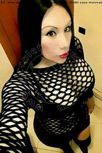 Foto selfie trans escort Paola Fox Iglesias 3347656397