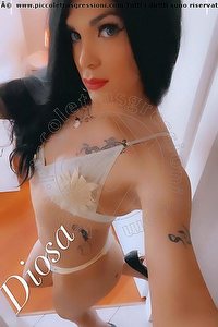 Foto selfie trans escort Diosa Canales Lignano Sabbiadoro 3899864611