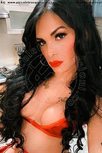 Foto selfie trans escort Diosa Canales Lignano Sabbiadoro 3899864611