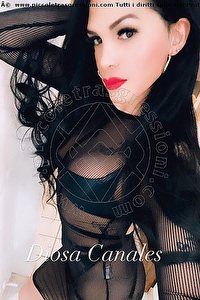 Foto selfie trans escort Diosa Canales Lignano Sabbiadoro 3899864611