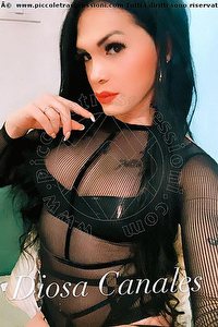 Foto selfie trans escort Diosa Canales Lignano Sabbiadoro 3899864611