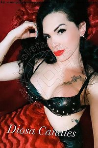Foto selfie trans escort Diosa Canales Lignano Sabbiadoro 3899864611