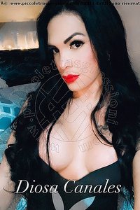 Foto selfie trans escort Diosa Canales Lignano Sabbiadoro 3899864611