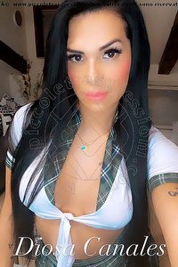Foto selfie trans escort Diosa Canales Trieste 3899864611