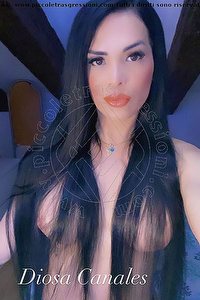 Foto selfie trans escort Diosa Canales Treviso 3899864611