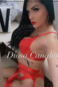 Foto selfie trans escort Diosa Canales Pordenone 3899864611