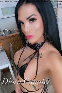 Foto selfie trans escort Diosa Canales Lignano Sabbiadoro 3899864611
