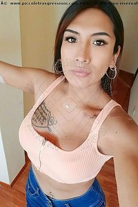 Foto selfie trans escort Sheyla Vibo Valentia 3715973309