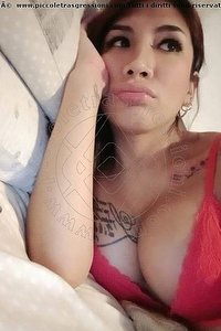 Foto selfie trans escort Sheyla Vibo Valentia 3715973309