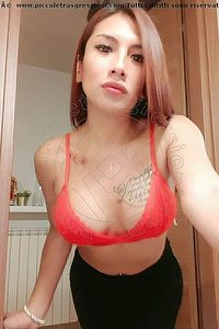 Foto selfie trans escort Sheyla Vibo Valentia 3715973309