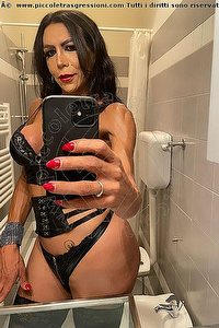 Foto selfie trans escort Stella Sampaio León 0034600257662