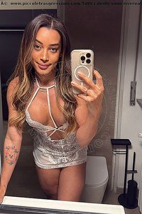 Foto selfie trans escort Iris Araujo Bologna 3884577638