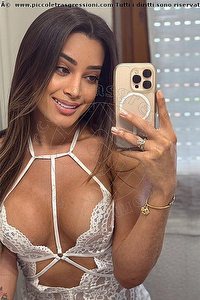 Foto selfie trans escort Iris Araujo Bologna 3884577638