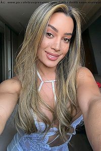 Foto selfie trans escort Iris Araujo Bologna 3884577638