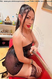 Foto selfie trans escort Carolina Ruvaz Milano 3279474162