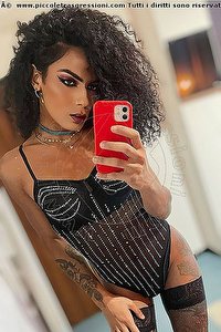 Foto selfie trans Kauane Lima Verona 3514438227