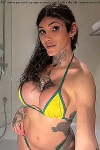 Foto selfie trans escort Sabrina Prezotte Pornostar Trieste 3409913678