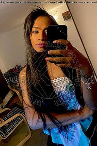 Foto selfie trans escort Samantha Bambolina Roma 3533680037