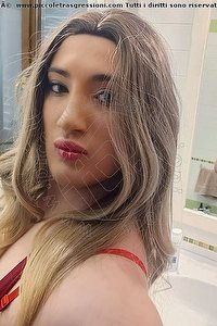 Foto selfie trans escort Giulia Romagnola Forlì 3517091081