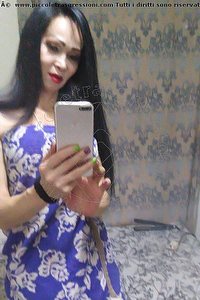 Foto selfie trans escort Evelin Carbonia 3533450285