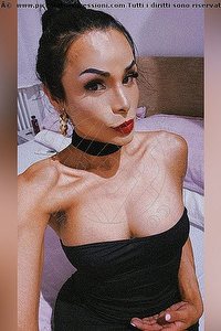 Foto selfie trans escort Ambar Spresiano 3512275092