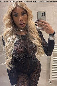 Foto selfie trans escort Campbell Torino 3933357541