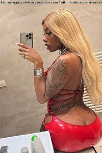 Foto selfie trans escort Campbell Modena 3933357541