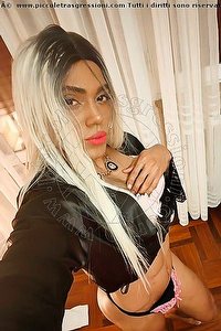 Foto selfie trav escort Crystal Civitanova Marche 3533131280