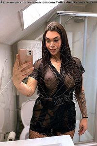 Foto selfie trans escort Gio Rende 3280630093