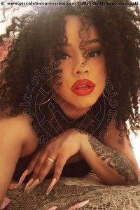 Foto selfie trans escort Di Castro Napoli 3276922441