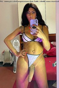 Foto selfie hot trans escort Vik Campana Roma 3486445725