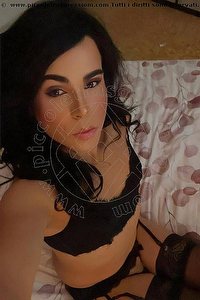 Foto selfie trav escort Anna Maialina L'aquila 3533653712