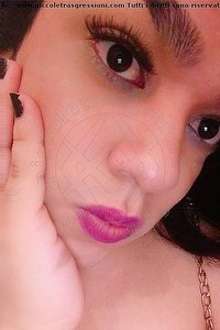 Foto selfie trans escort Nicole San Vincenzo 3339221382