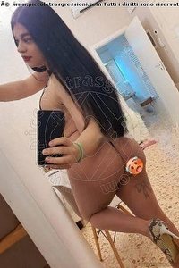 Foto selfie trans escort Nicole San Vincenzo 3339221382