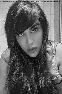 Foto selfie trans escort Katherine Gomez Arezzo 3312623237