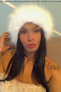 Foto selfie trans escort Soraya Angel Pavia 3881071040