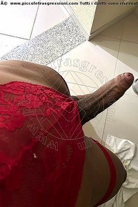 Foto selfie hot trans escort Alicia La Spezia 3932019099