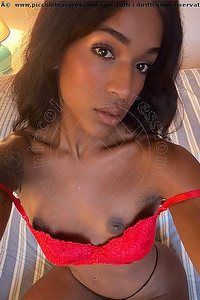 Foto selfie trans escort Alicia Rapallo 3932019099