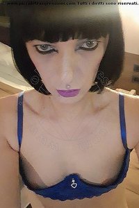 Foto selfie trans escort Stefania Zanco Novi Ligure 3792374980