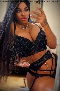 Foto selfie escort Medley Ancona 3512887794