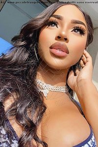 Foto selfie escort Medley Ancona 3512887794