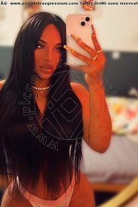 Foto selfie escort Medley Ancona 3512887794