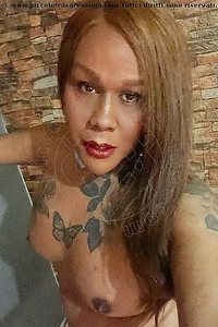 Foto selfie trans escort Isabella Oliver Milano 3296345891